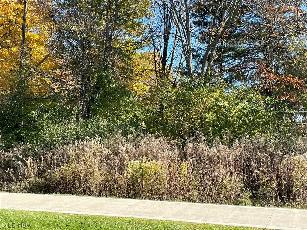 V/L Lawnmark Drive, Hudson, OH 44236 - Image #1