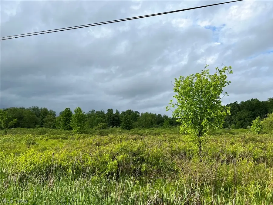 11200 Watson Road, Kensington, OH 44427 - Image #2