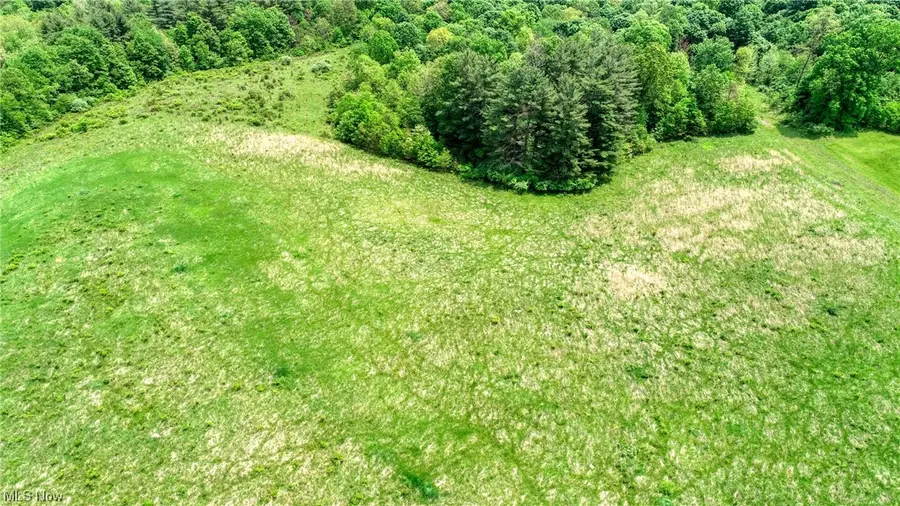 63620 Wintergreen Road, Lore City, OH 43755 - #3