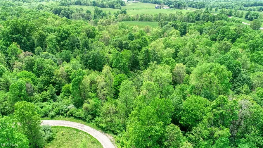 63590 Wintergreen Road, Lore City, OH 43755 - Image #2