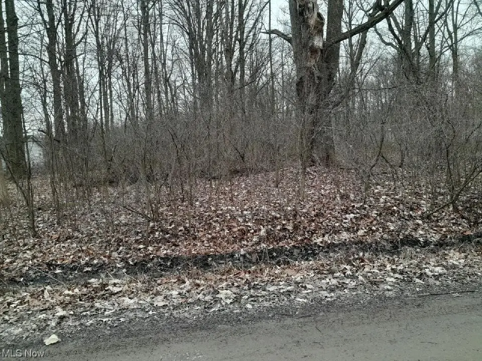 Lakeview Road, West Farmington, OH 44491 - Image #1