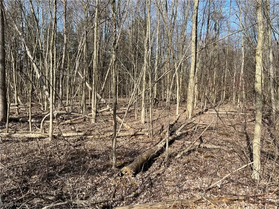 Carson Salt Springs Road, Lordstown, OH 44481 - Image #3