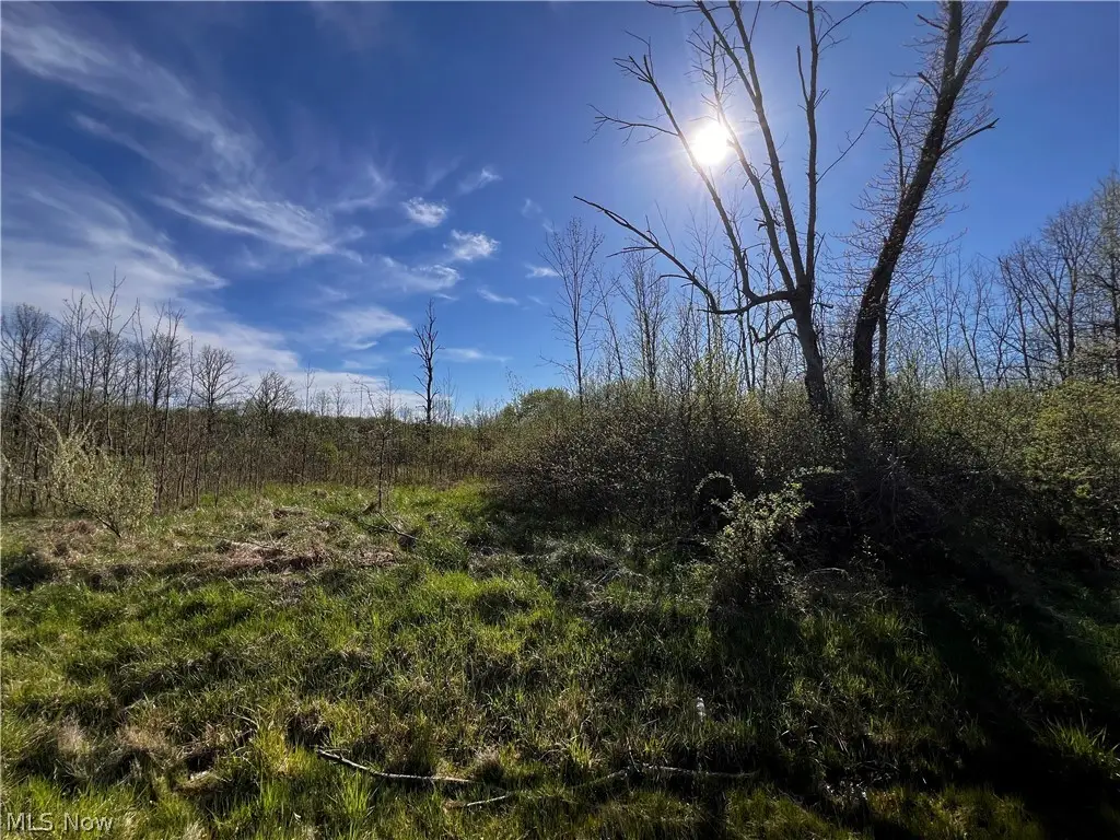 683 Rome Rock Creek Road, Roaming Shores, OH 44084 - Image #1