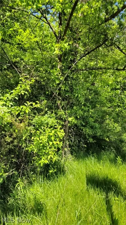 Mathews Road, Boardman, OH 44512 - Image #1