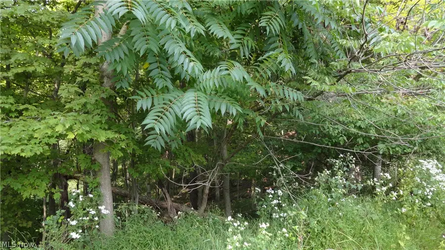 TBD Bryden Road, Weirton, WV 26062 - Image #3