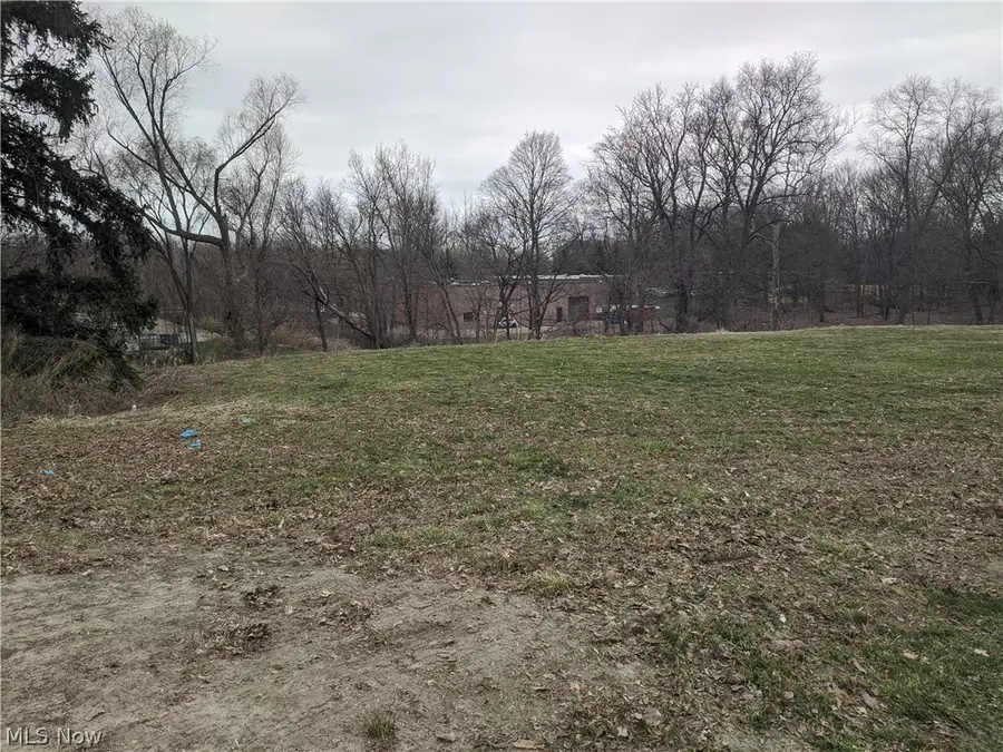 9005 Jackson Street, Mentor, OH 44060 - #2