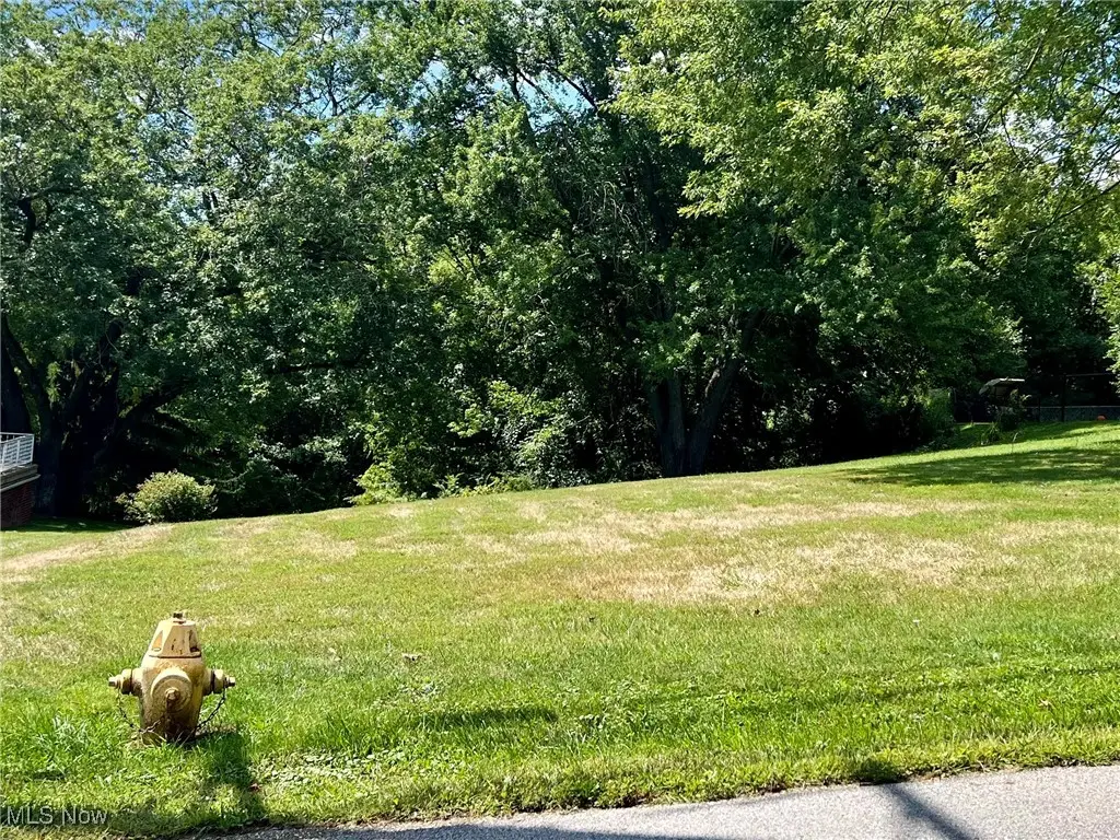 0 Fernwood Road, Wintersville, OH 43953 - #1