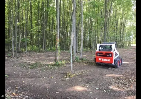 Bates Road, Madison, OH 44057 - Image #2