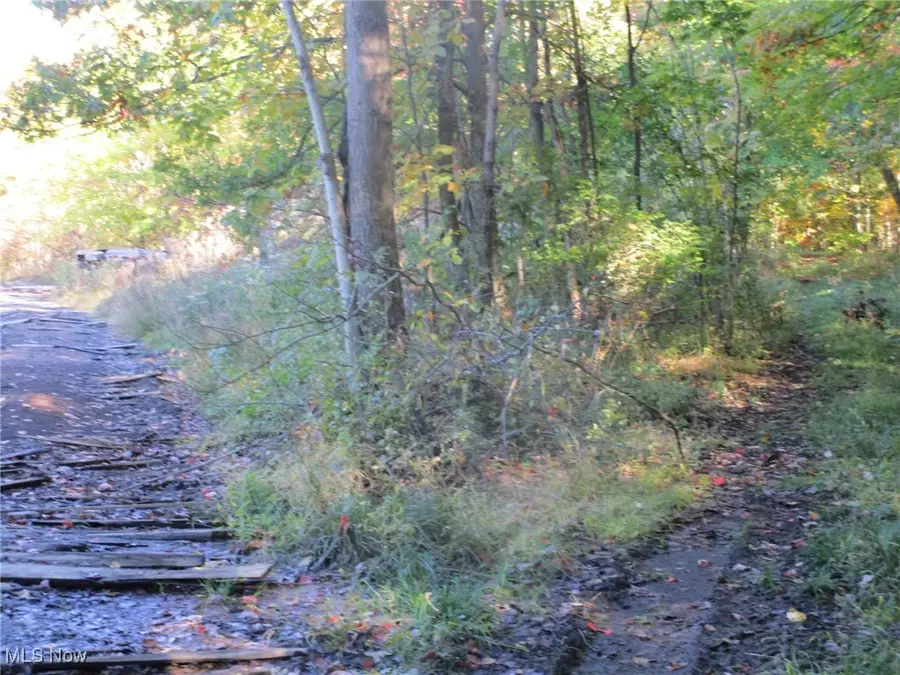 5810 Dewey Road, Madison, OH 44057 - Image #3