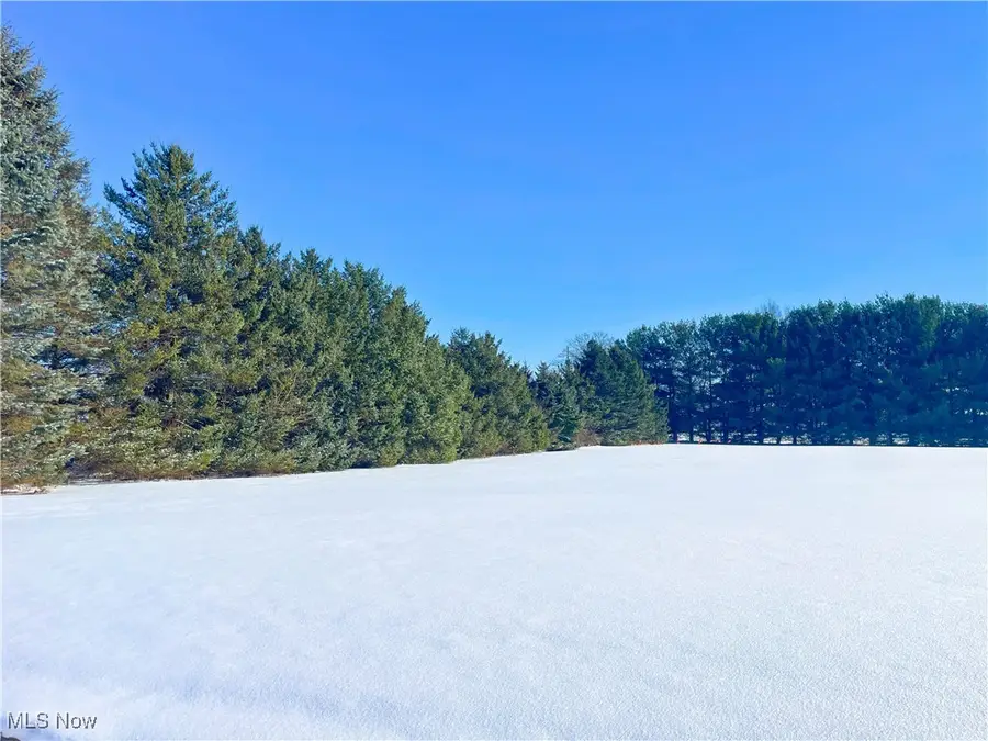 49631 Foxwood Lane, East Palestine, OH 44413 - Image #2