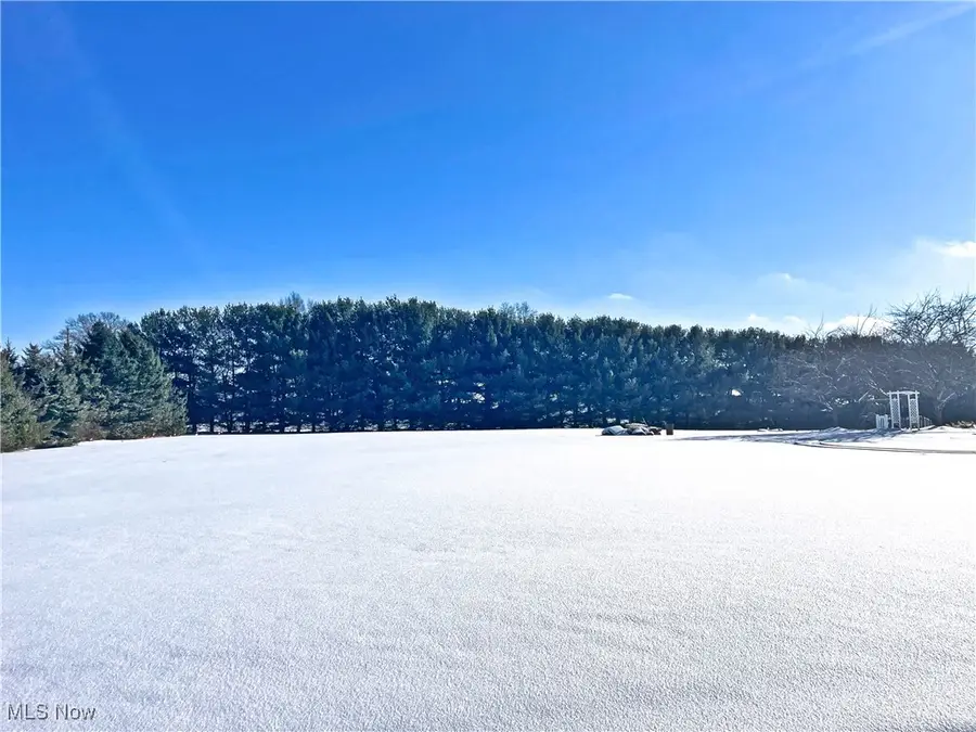 49631 Foxwood Lane, East Palestine, OH 44413 - Image #3