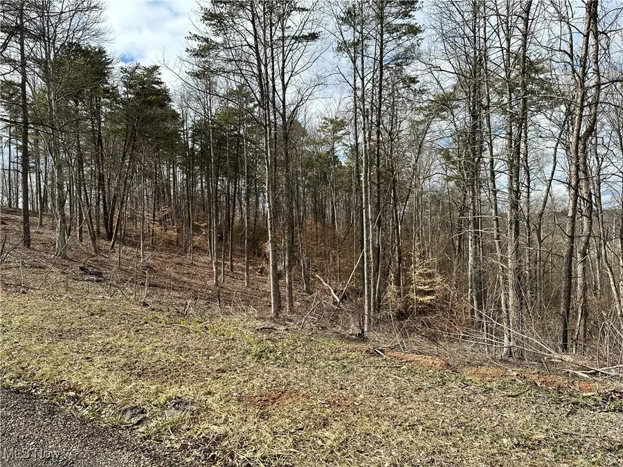 0 Fisher Ridge Rd, Tract 2, Fleming, OH 45729 - Image #3