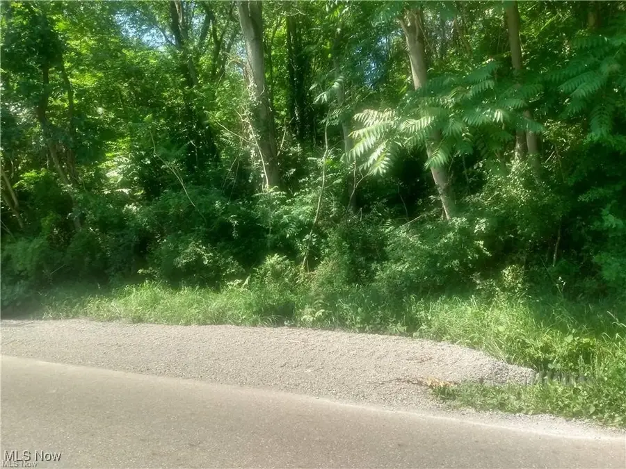 36700 Butcher Road, Salem, OH 44460 - Image #2