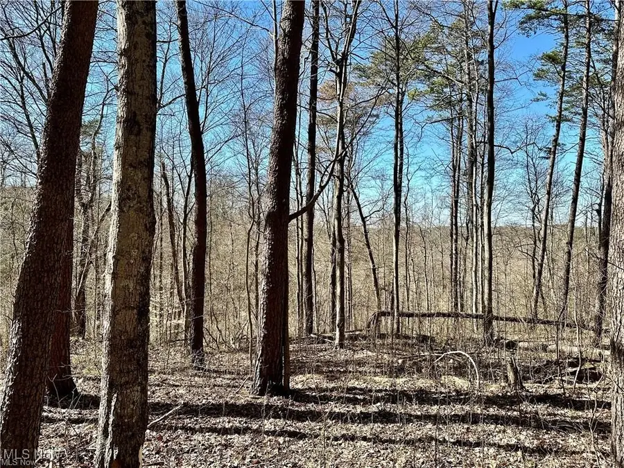 0 Fisher Ridge Rd, Tract 7, Fleming, OH 45729 - Image #3