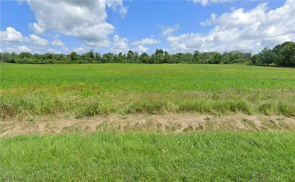 Lot #6 Chippewa Road, Chippewa Lake, OH 44215