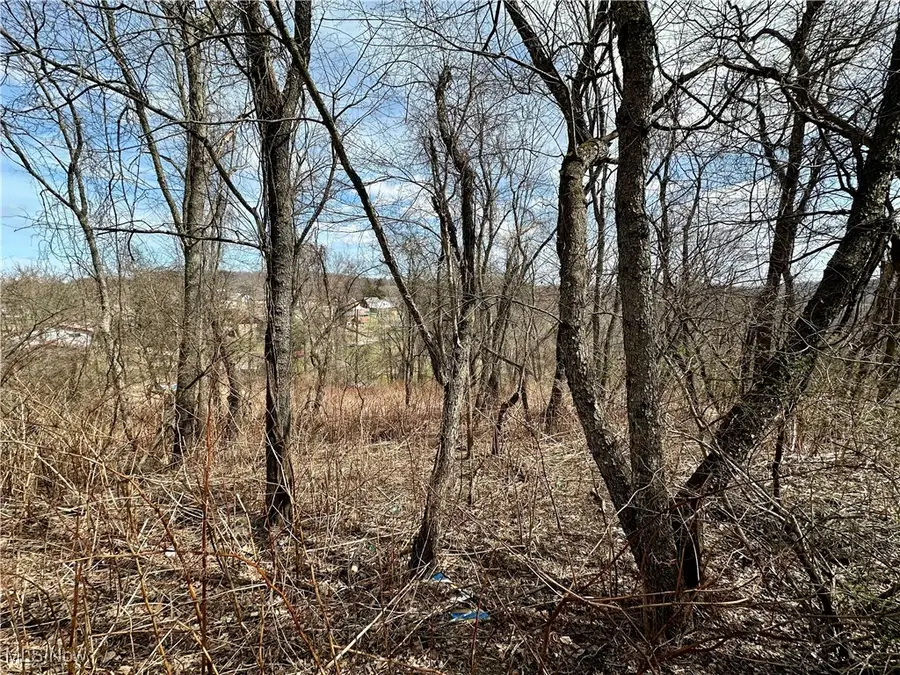 TBD Alta Street, Weirton, WV 26062 - Image #2