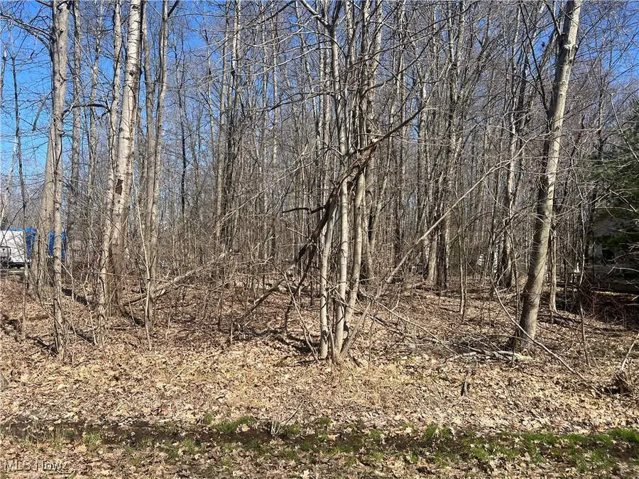 2114 N Park Lane, Roaming Shores, OH 44084 - Image #2