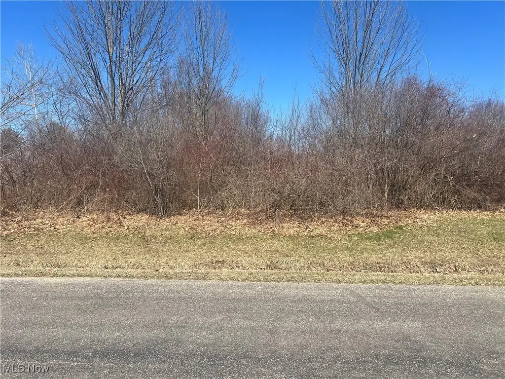 2488 Tupelo Drive, Roaming Shores, OH 44084 - #1