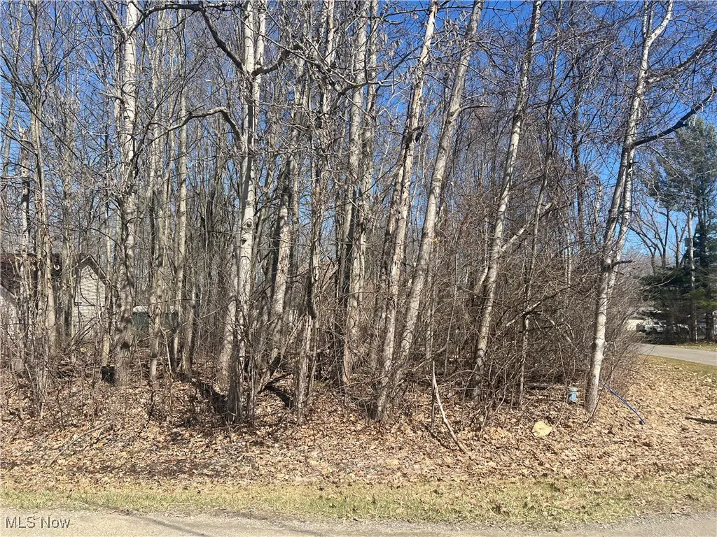 2455 Plum Creek, Roaming Shores, OH 44084 - #1