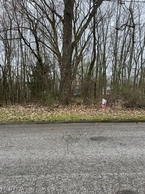 Oakview Avenue, Struthers, OH 44471