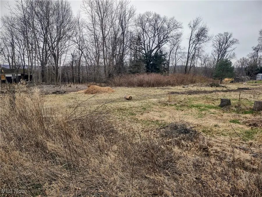 1308 Longstone Avenue, Akron, OH 44310 - Image #3