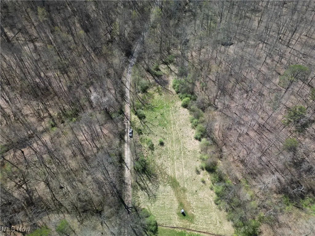 Rush Run Road, Arnoldsburg, WV 25234 - Image #1