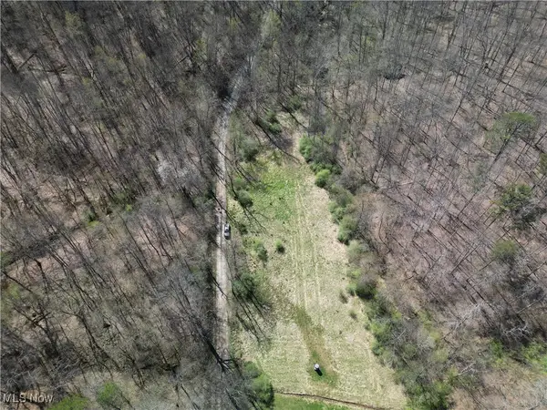 Rush Run Road, Arnoldsburg, WV 25234