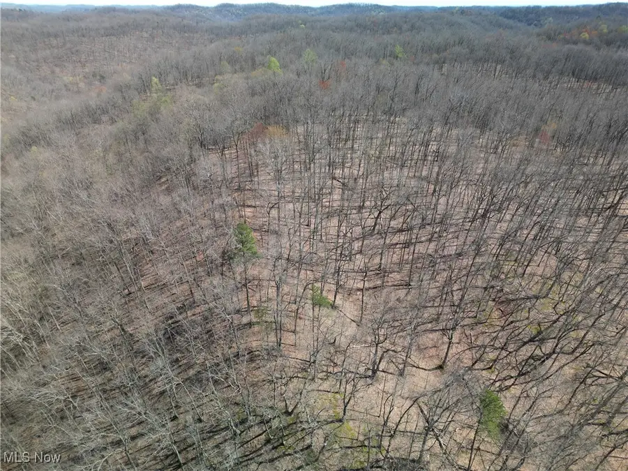 Rush Run Road, Arnoldsburg, WV 25234 - Image #2