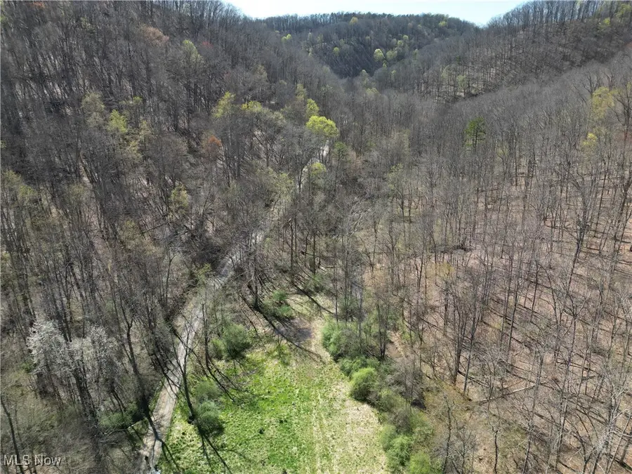 Rush Run Road, Arnoldsburg, WV 25234 - Image #3