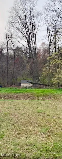 W Fernwood Drive, Toronto, OH 43964 - Image #1