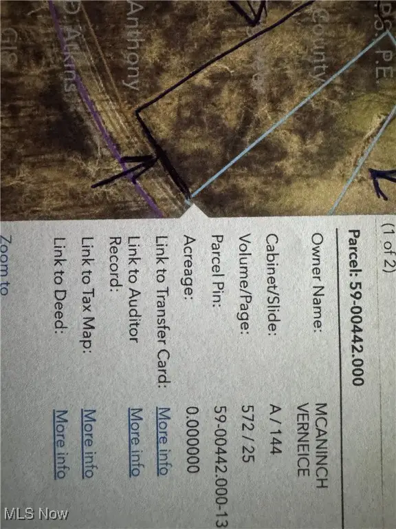 Ferryview Road, Martins Ferry, OH 43935 - Image #1