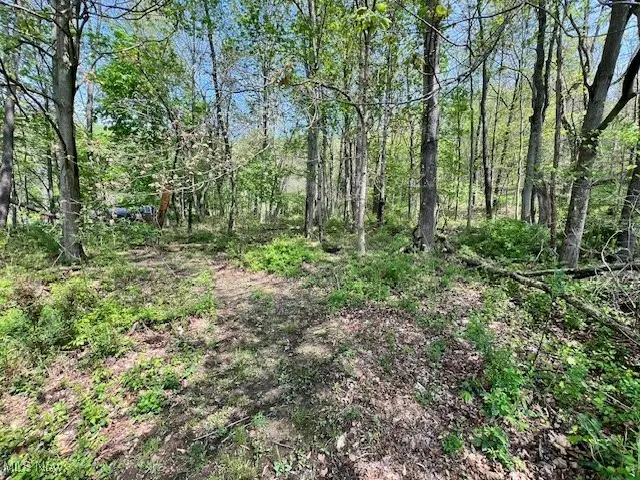 Royal Street, Midvale, OH 44653 - Image #2