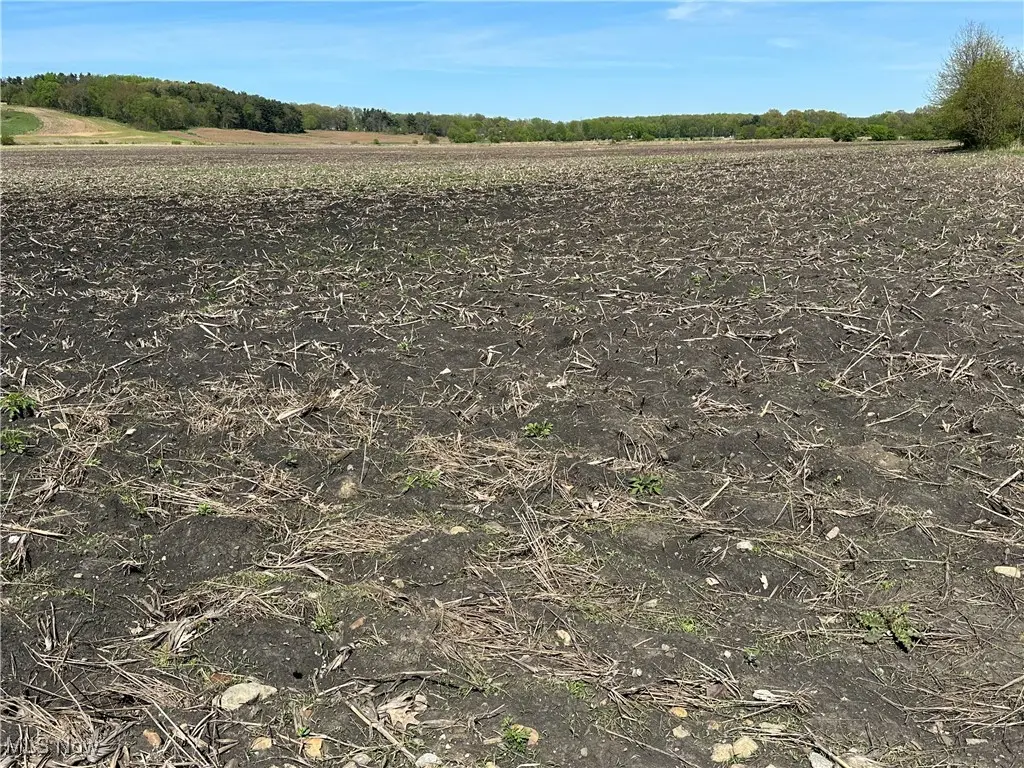 V/L Burton City Road, Orrville, OH 44667 - Image #1