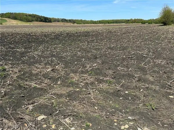 V/L Burton City Road, Orrville, OH 44667