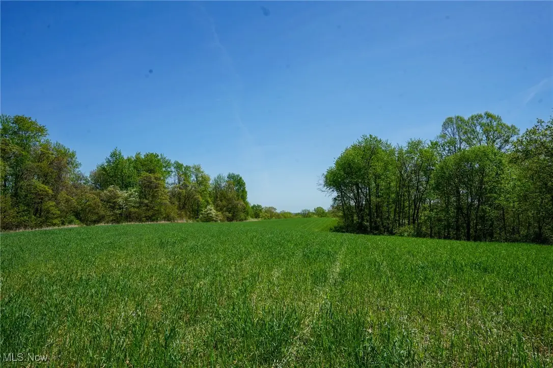 Sealover Hollow Rd, Philo, OH 43771 - Image #1