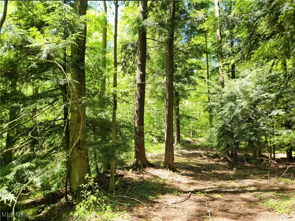 VACANT LAND Brakeman Road, Leroy, OH 44077 - Image #1