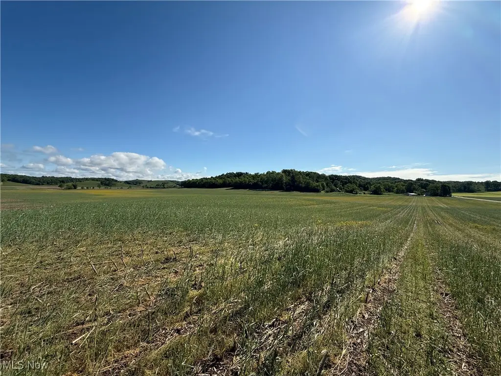 Township Road 154, West Lafayette, OH 43845 - Image #1