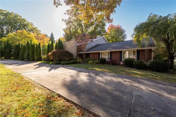 430 Delaware Avenue, Akron, OH 44303