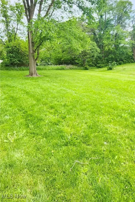 Walnut Street, Wintersville, OH 43953 - Image #2