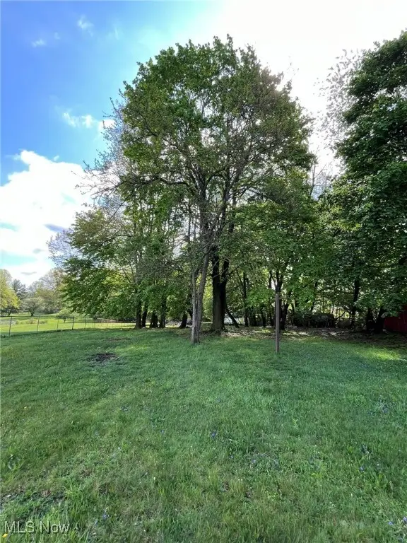 805 Utica Avenue, Akron, OH 44312 - Image #3