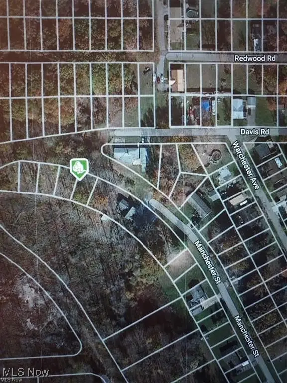 Manchester Street, Lake Milton, OH 44429