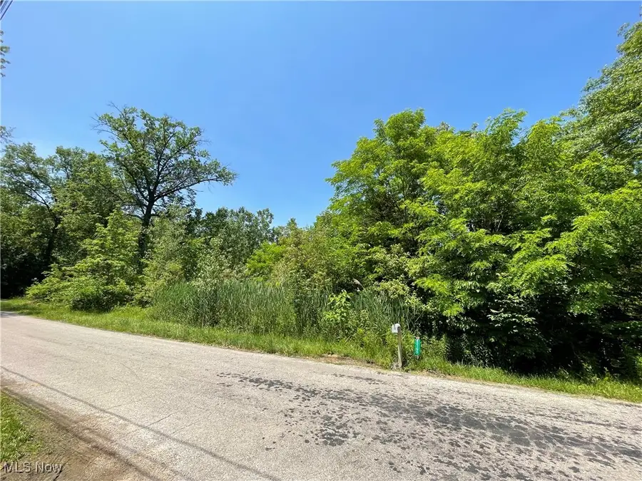 42190 Helen Street, Elyria, OH 44035 - Image #2