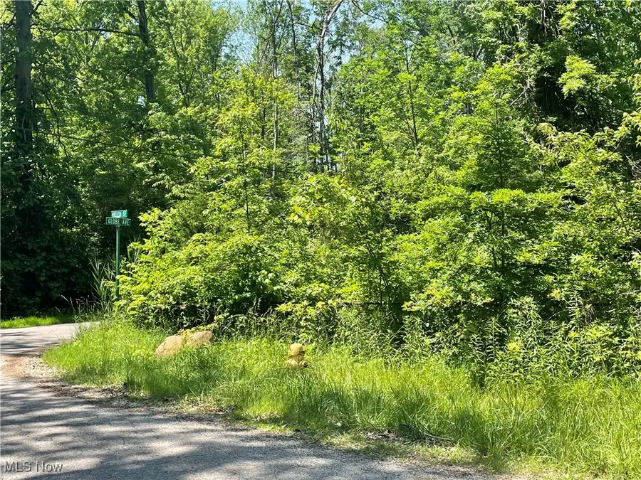 42190 Helen Street, Elyria, OH 44035 - Image #3