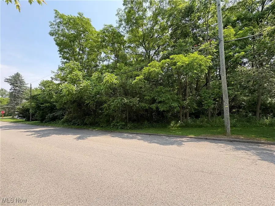 Penhale Avenue, Campbell, OH 44405 - Image #2