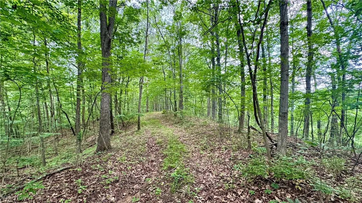 Noble Hill Rd, Pleasant City, OH 43772 - Image #1