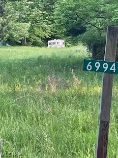 6994 Hankee Road, Garrettsville, OH 44231 - Image #3