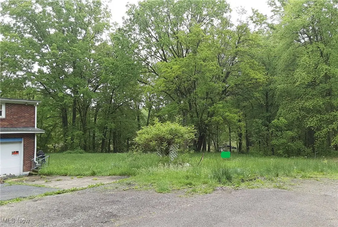 105 Lakeview Street, Lake Milton, OH 44429 - Image #1