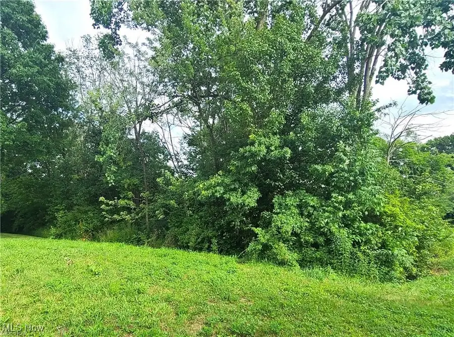 Edith Avenue, Akron, OH 44312 - Image #2