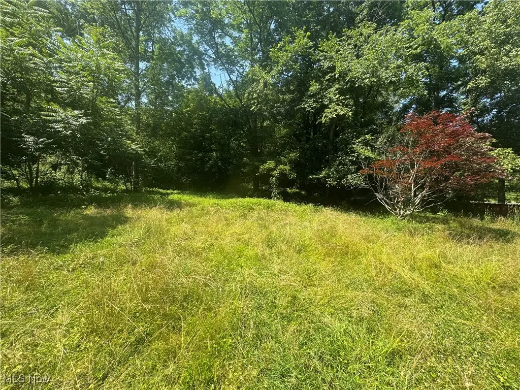 20785 County Road 9, New Matamoras, OH 45767 - Image #1