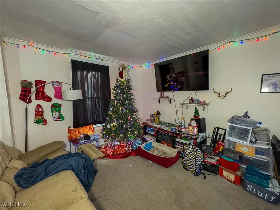 166 S Schenley Avenue, Youngstown, OH 44509 - Image #3